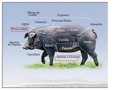 Iberico Secreto